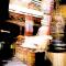 Traces du Bouddha / Traces of Buddha